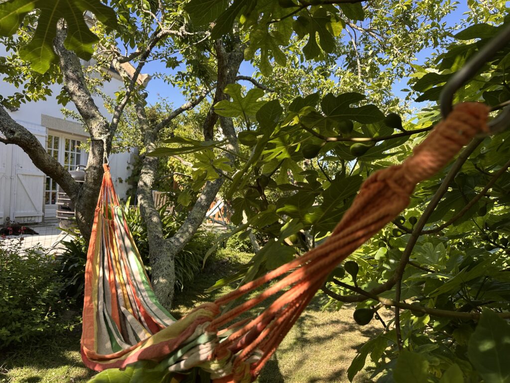 Hamac orange suspendu entre les arbres fruitiers du verger ombragé