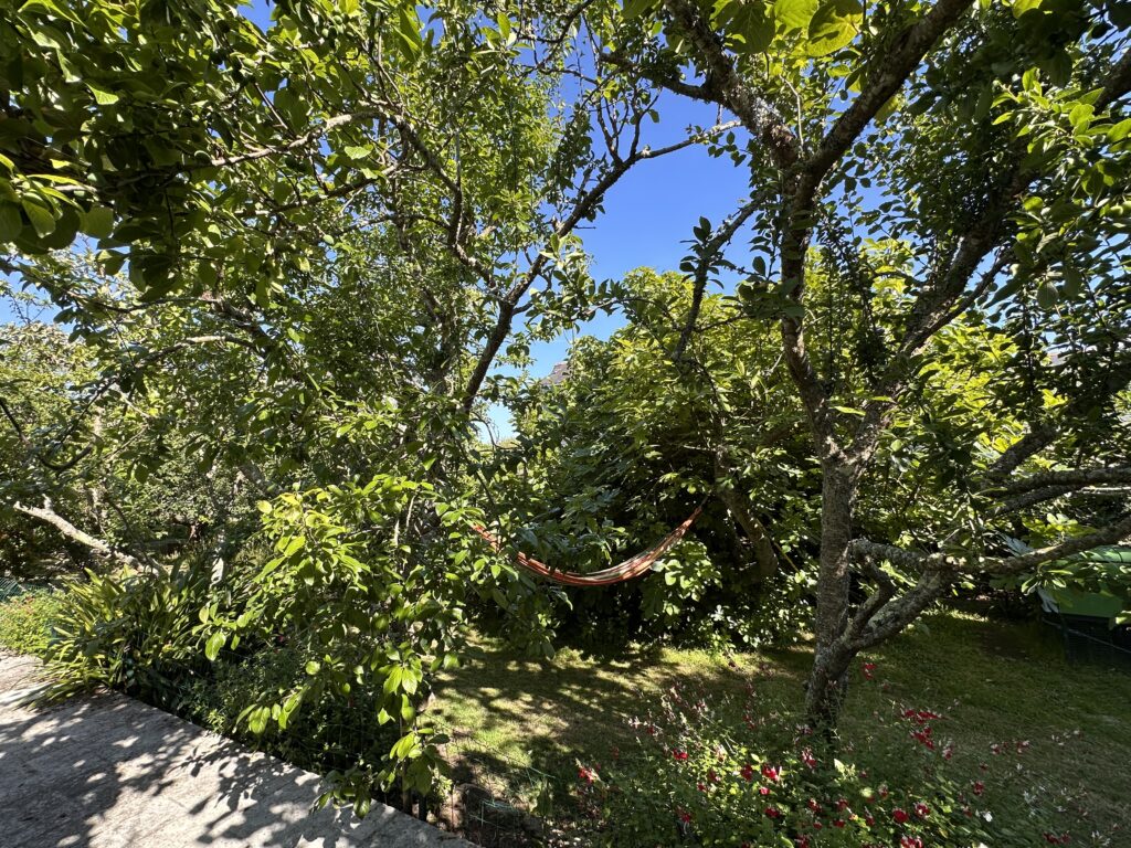 Verger arboré et fleuri avec un hamac suspendu au Clos Kerhadenn
