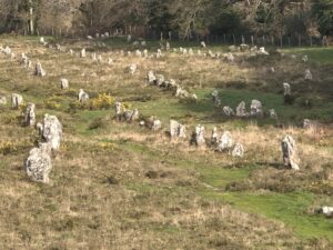 Alignements de menhirs de Kermario à Carnac dans un champ de lande en Bretagne