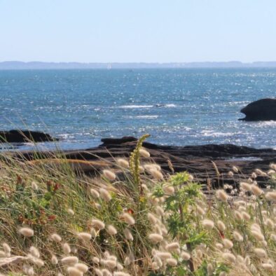 Paysage de mer et dune sauvage a la pointe du Conguel a Quiberon